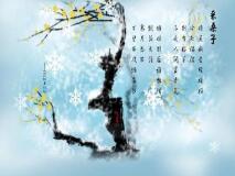 退伍军人爱情故事：曹辉菊与陈枝洋四十八载相守